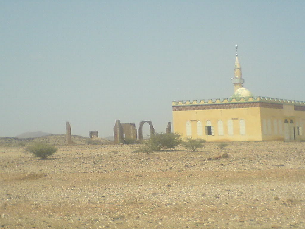 DSC00100-1.jpg
