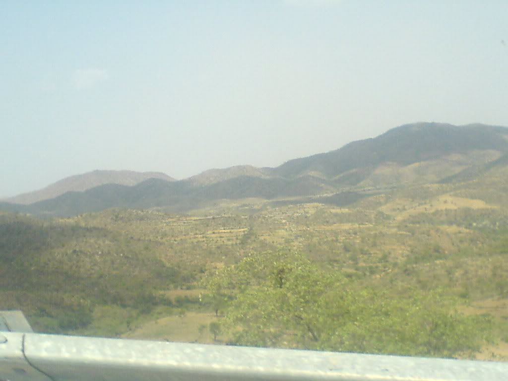 DSC00102-1.jpg
