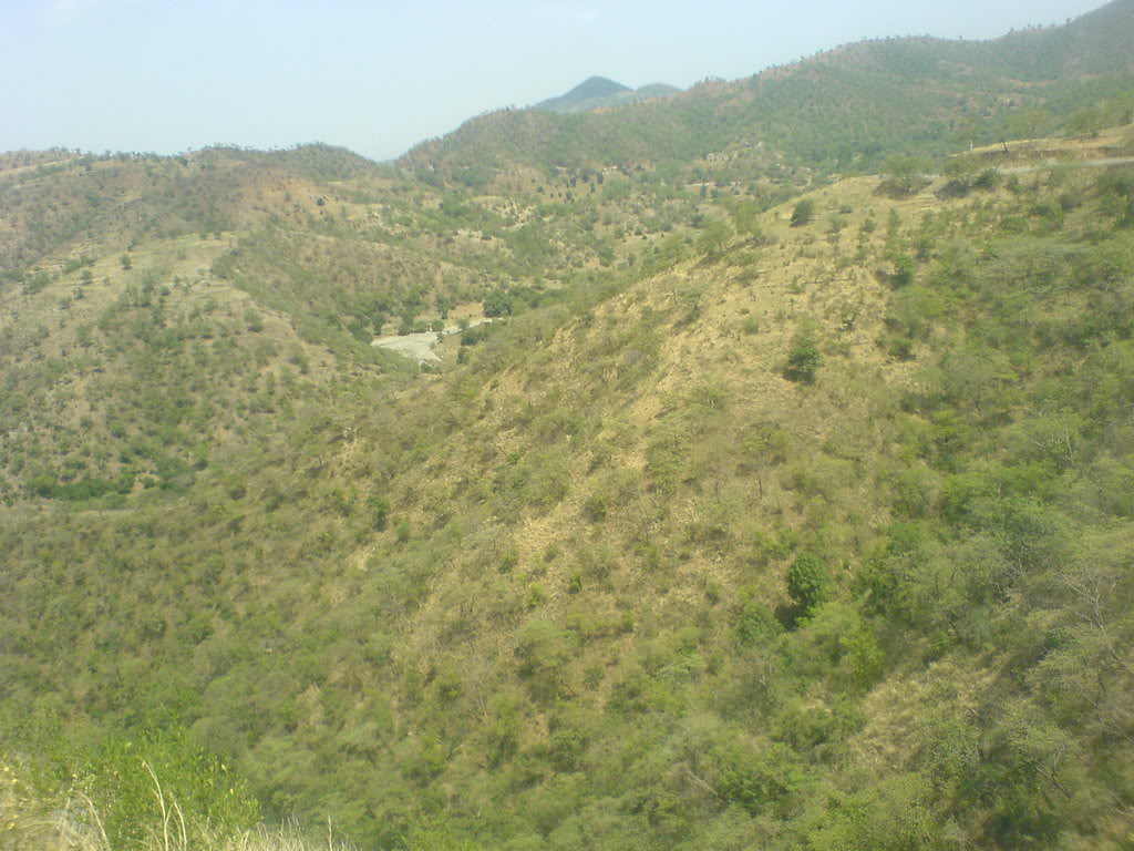 DSC00107-1.jpg