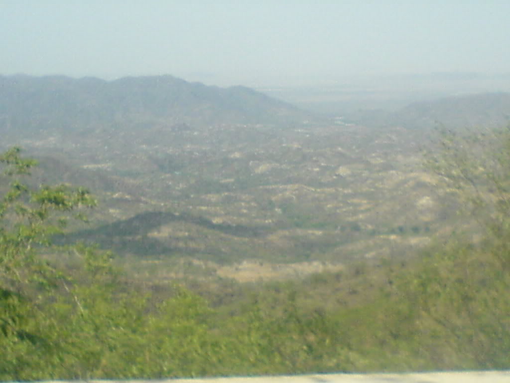 DSC00110-1.jpg