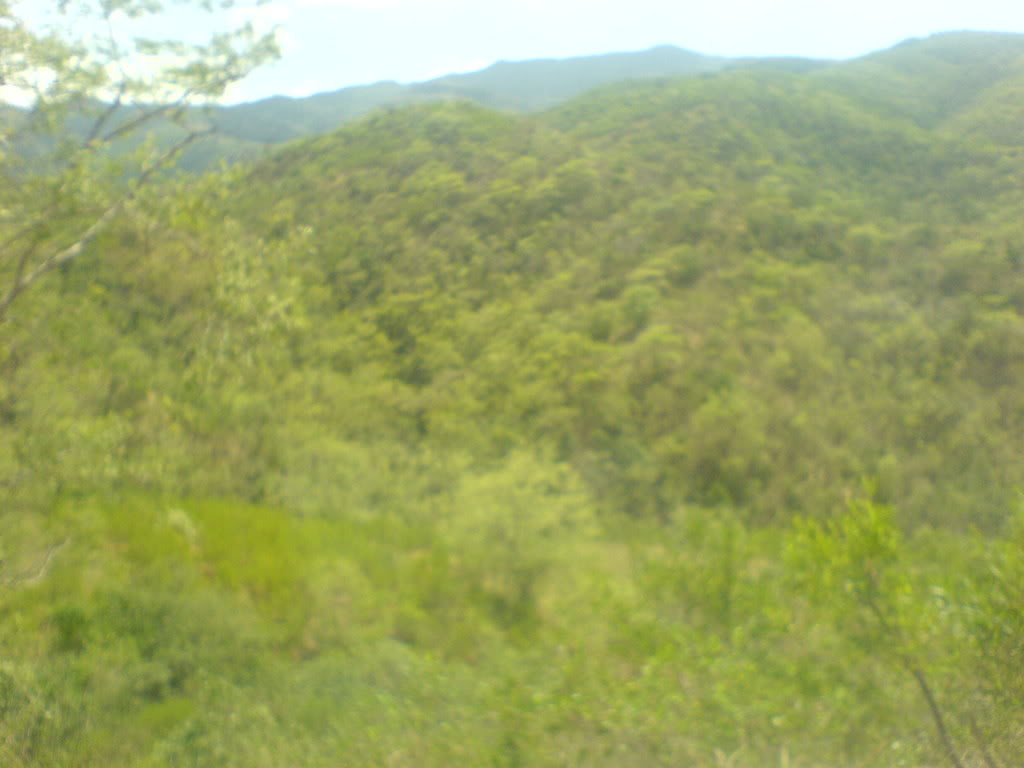 DSC00112-1.jpg