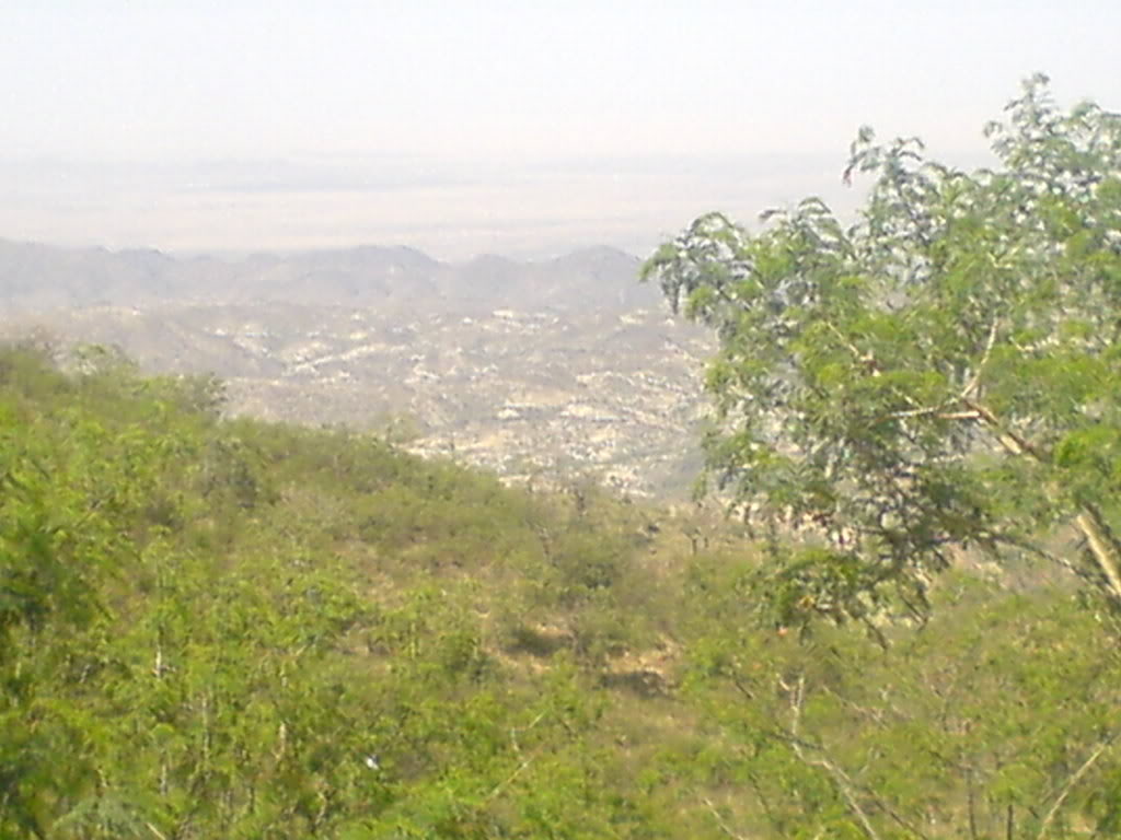 DSC00115-1.jpg