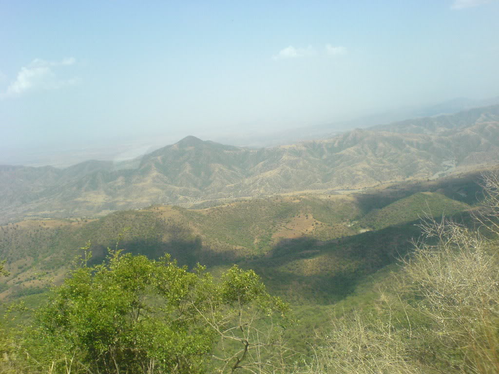 DSC00117-1.jpg