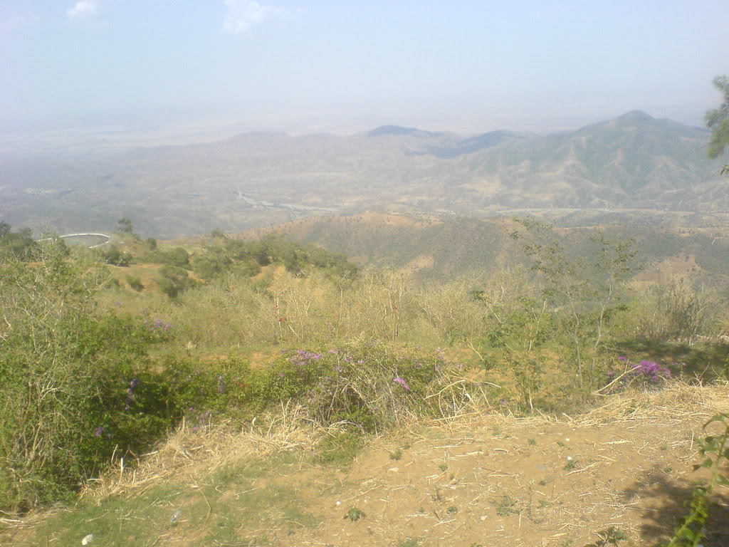 DSC00121-1.jpg