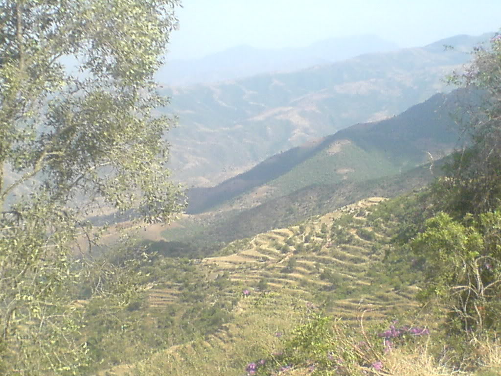 DSC00122-1.jpg