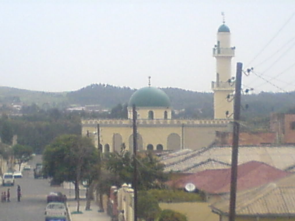 DSC00124-1.jpg
