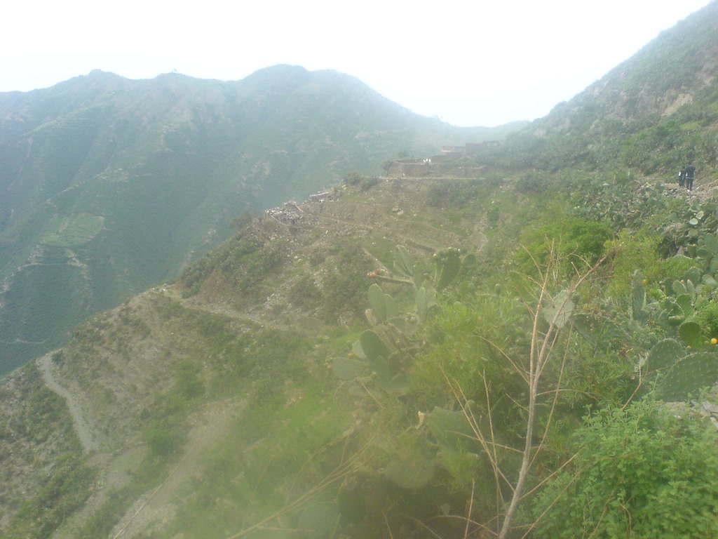 DSC00125-1.jpg