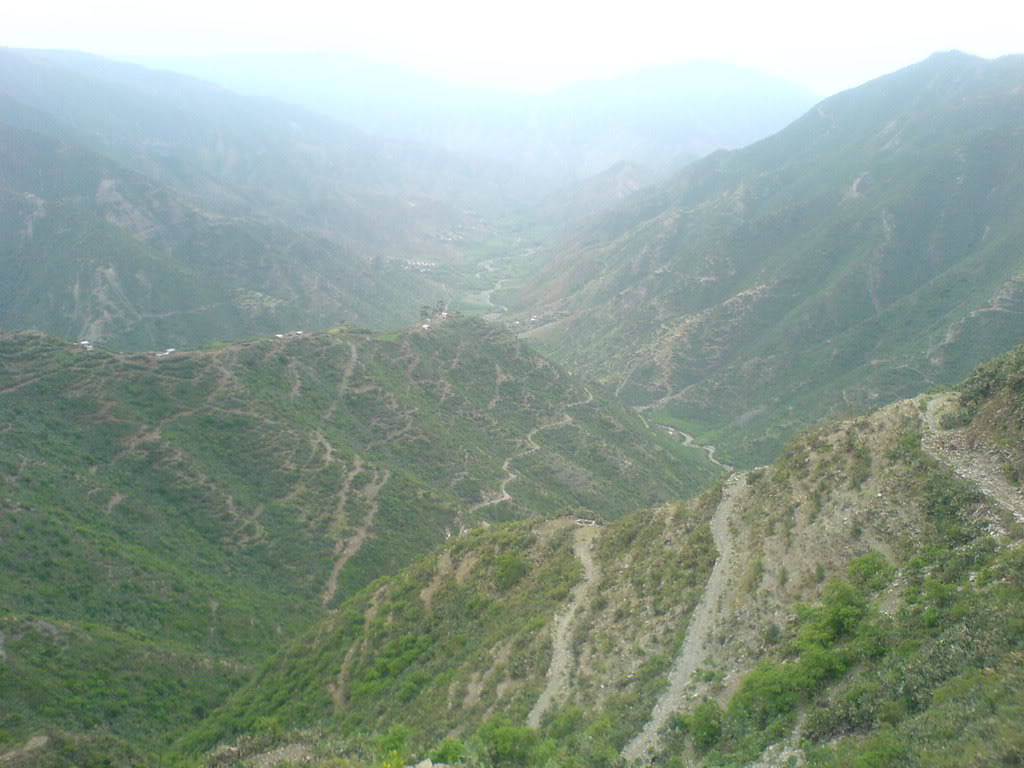 DSC00131-1.jpg