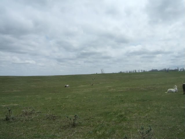 DSCF4958-1.jpg