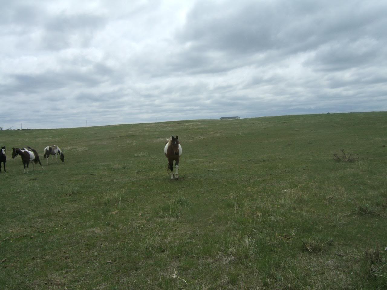 DSCF4960-1.jpg
