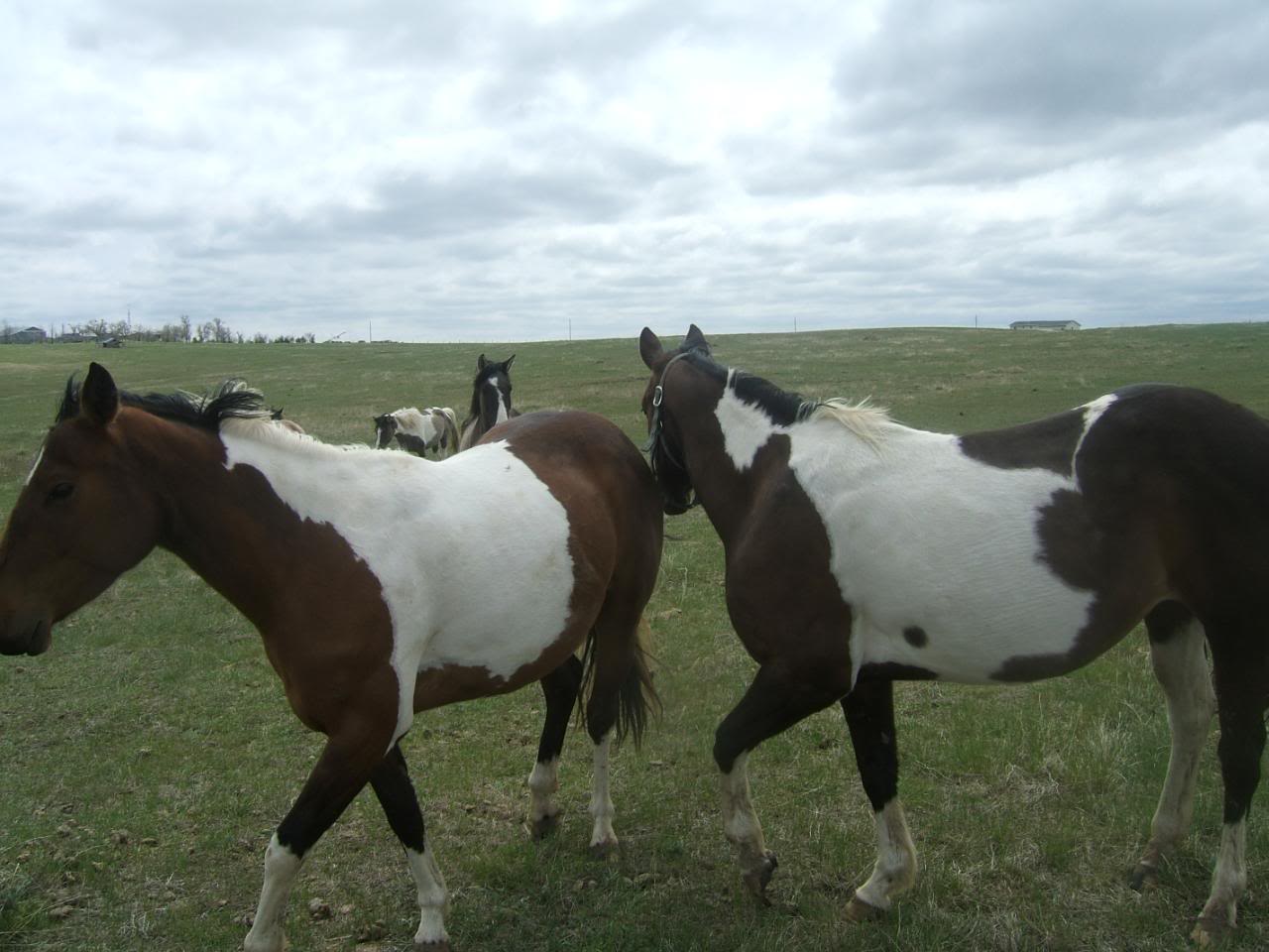 DSCF4961-1.jpg