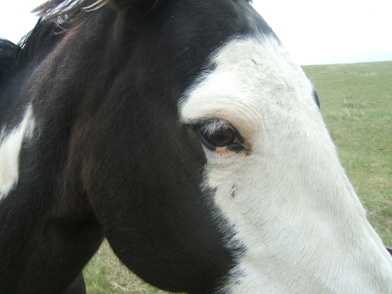 DSCF4965-1.jpg