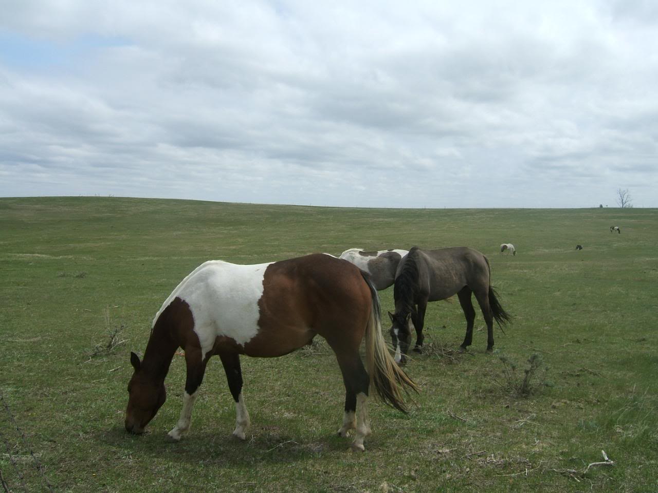 DSCF4967-1.jpg