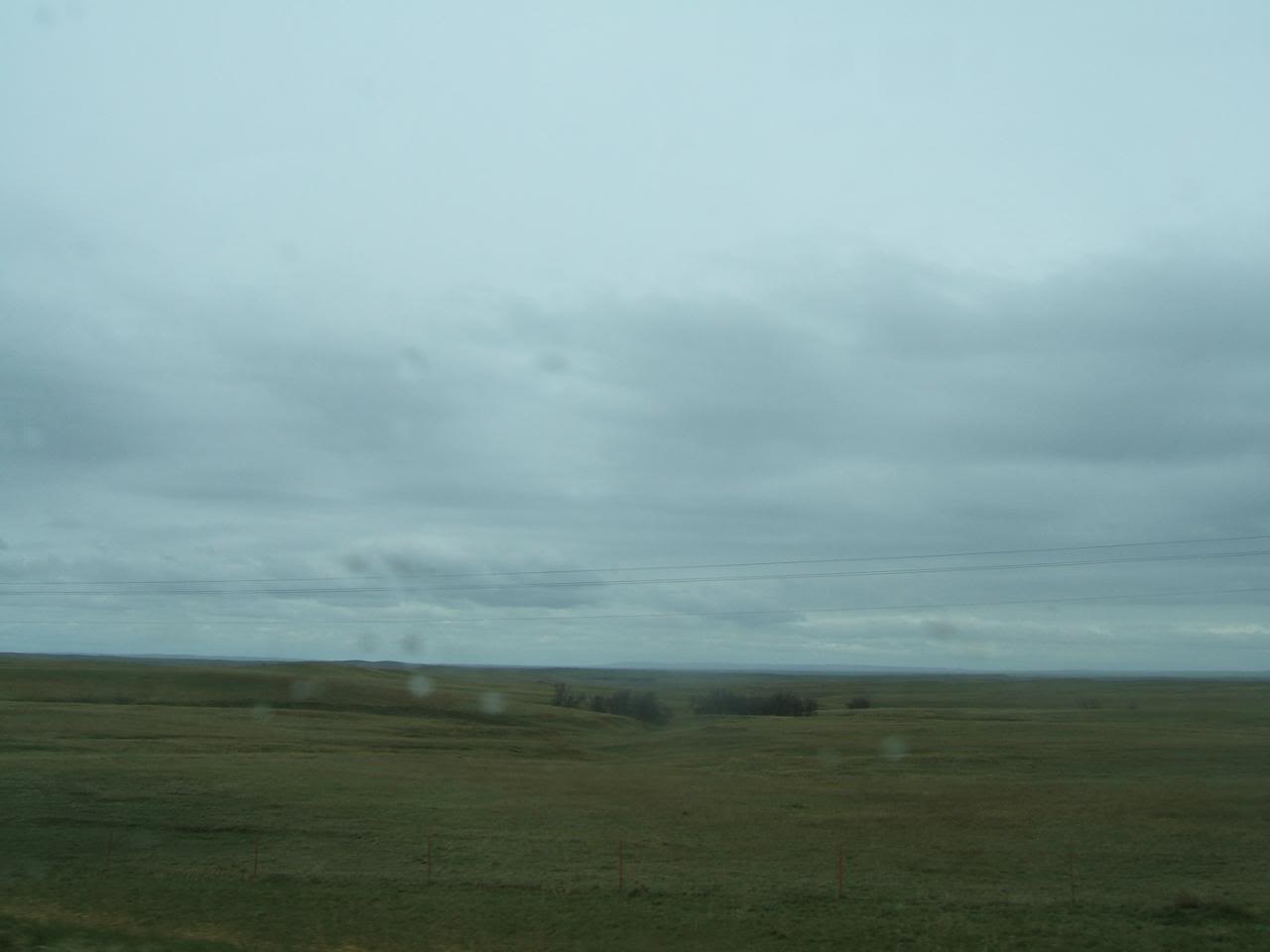 DSCF4982-1.jpg