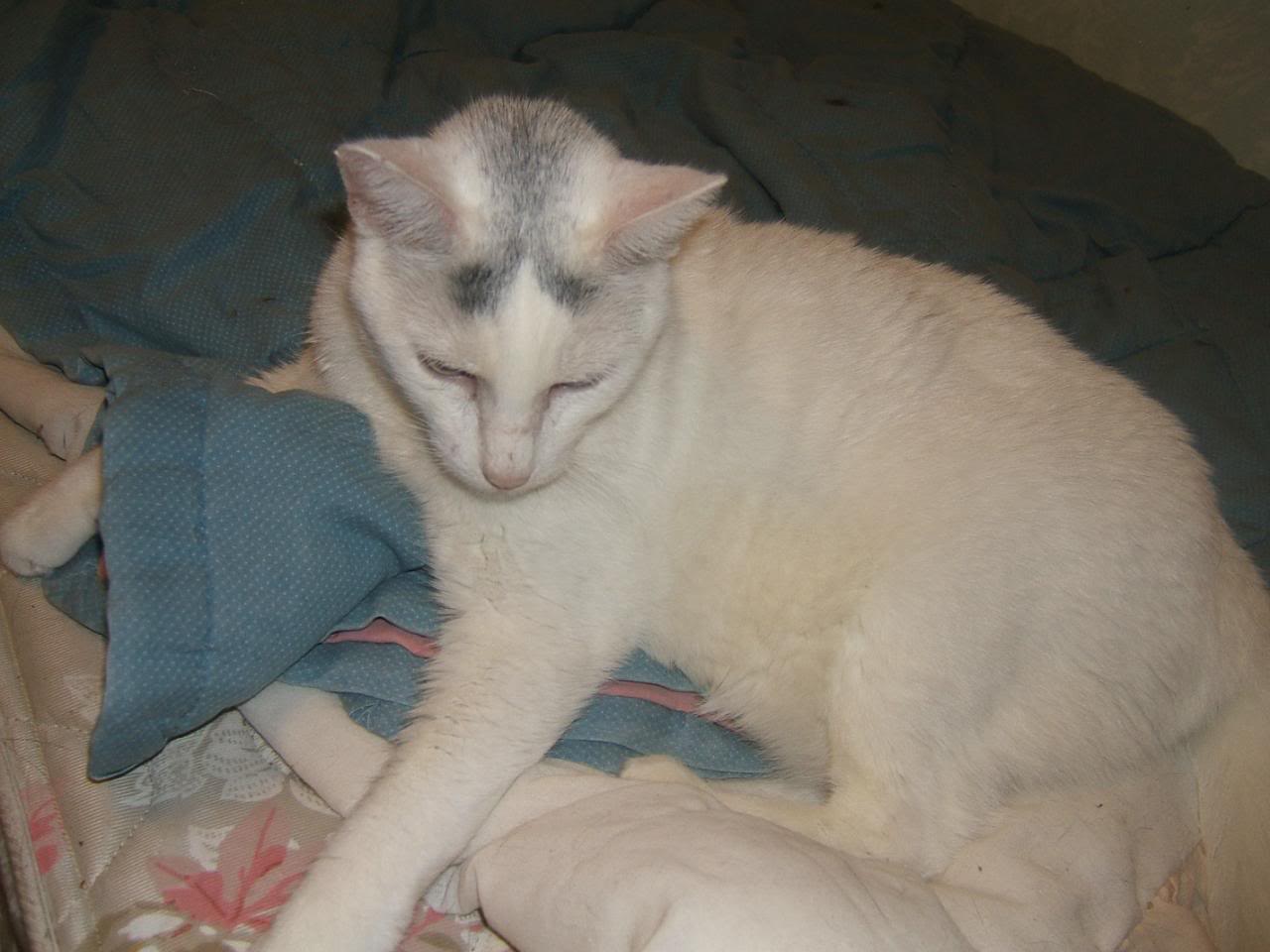 DSCF5089-1.jpg