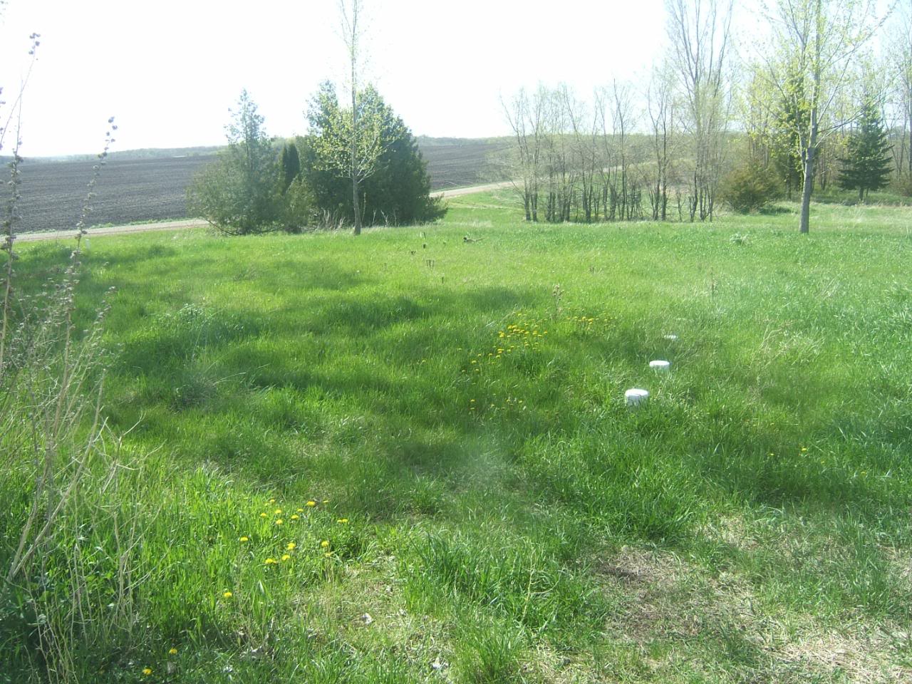 DSCF5091-1.jpg