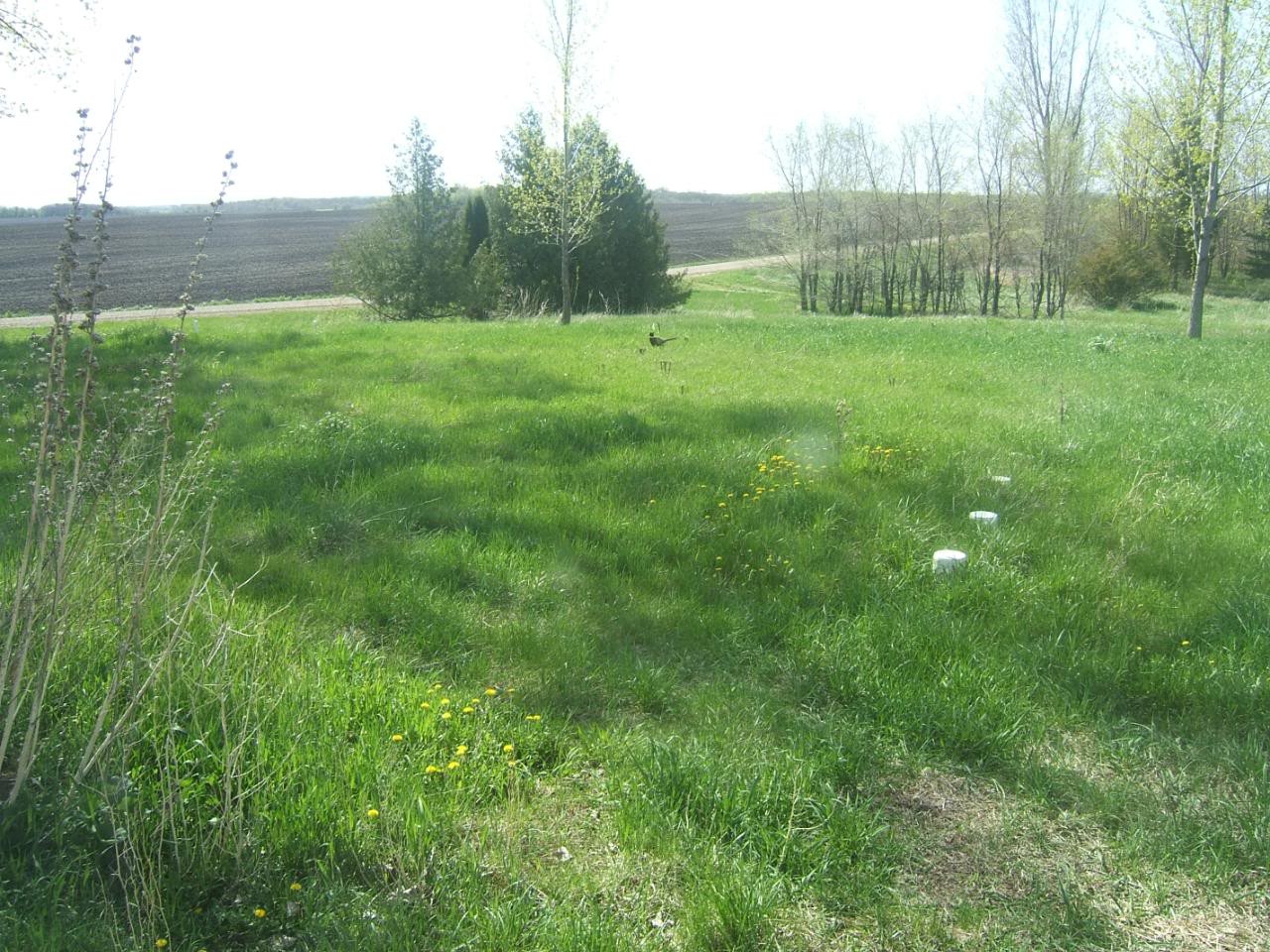 DSCF5092-1.jpg