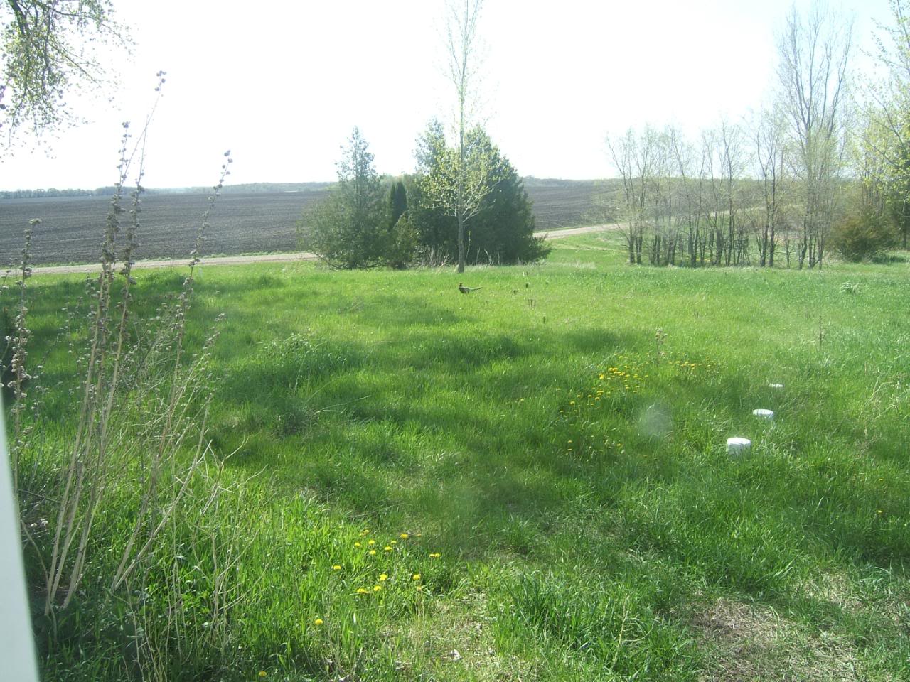 DSCF5093-1.jpg