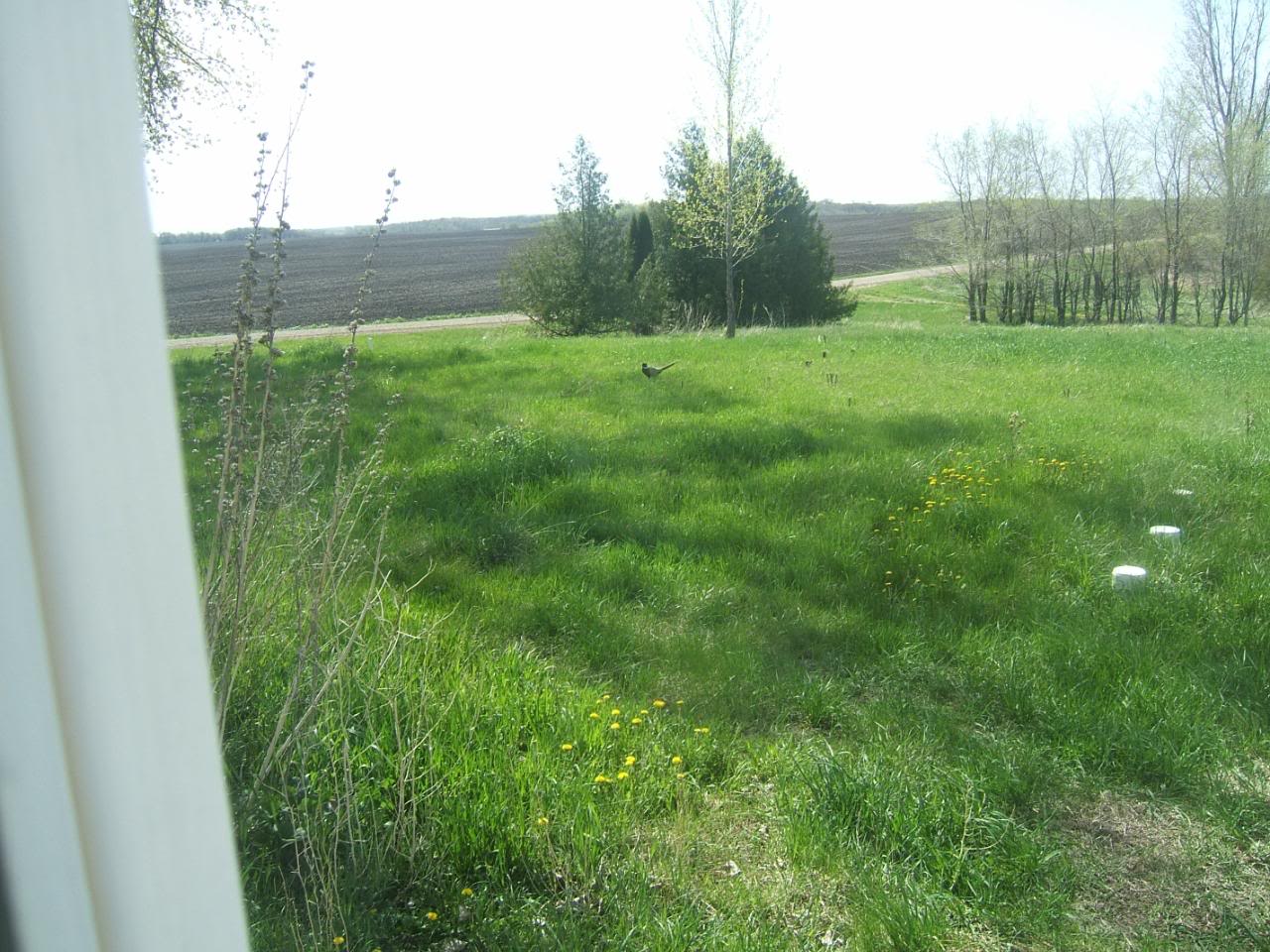 DSCF5095-1.jpg