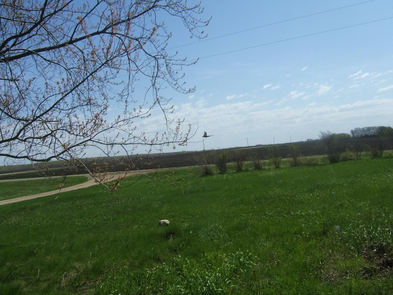 DSCF5097-1.jpg
