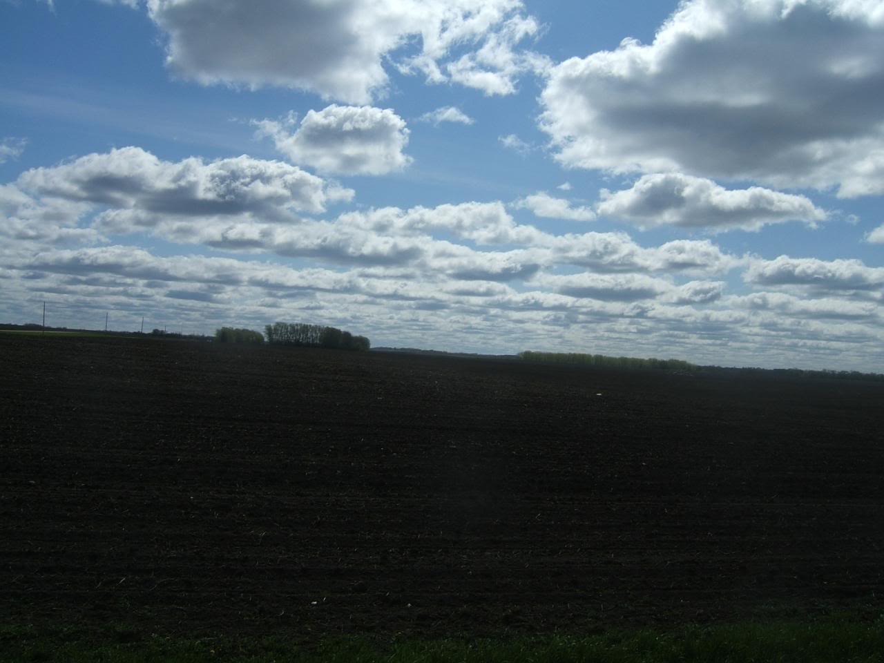 DSCF5118-1.jpg