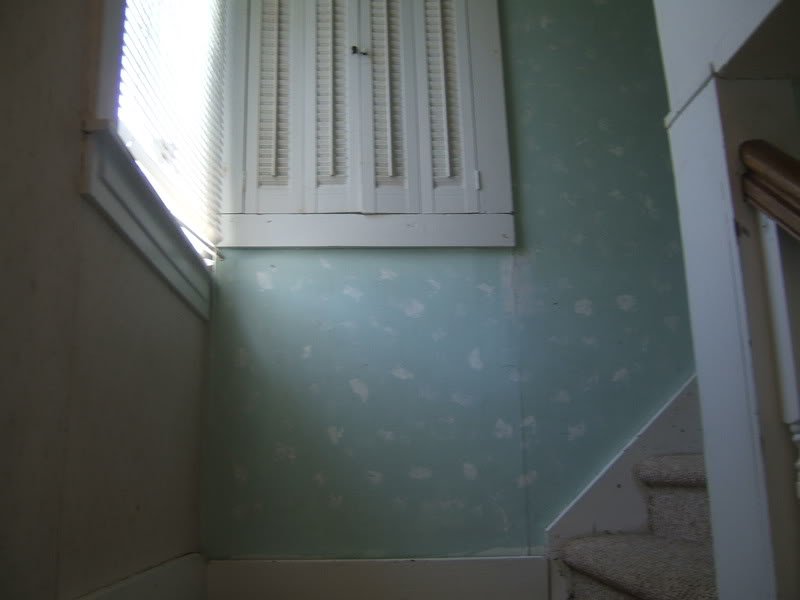 DSCF5174-1.jpg