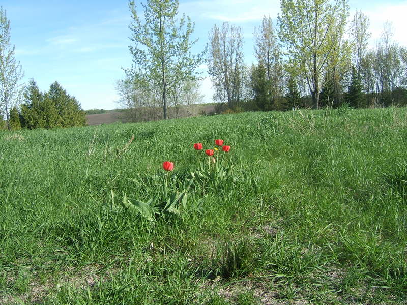 DSCF5234-1.jpg