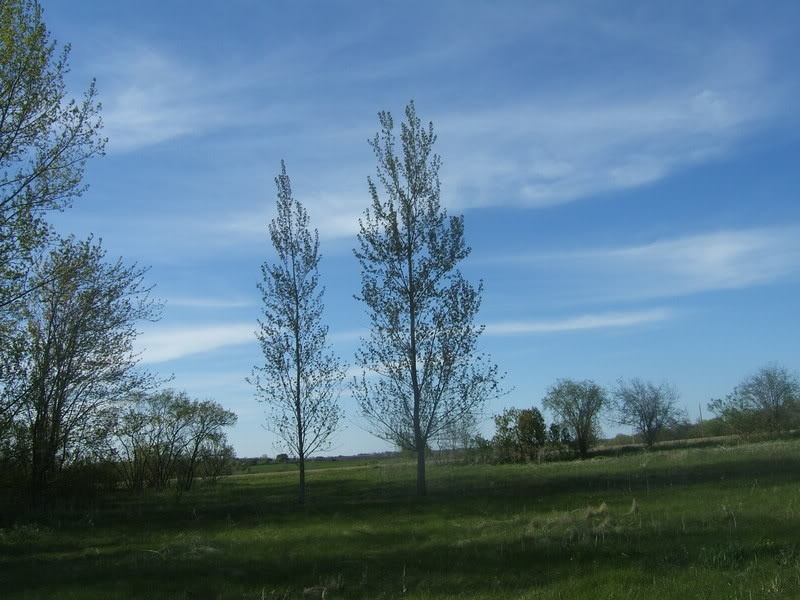 DSCF5240-1.jpg