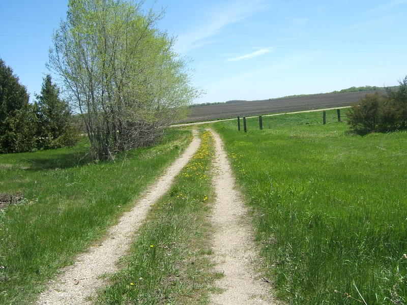 DSCF5251-1.jpg