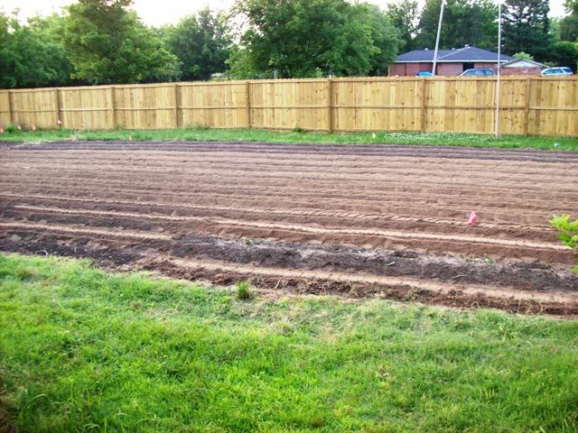 Garden1-1.jpg