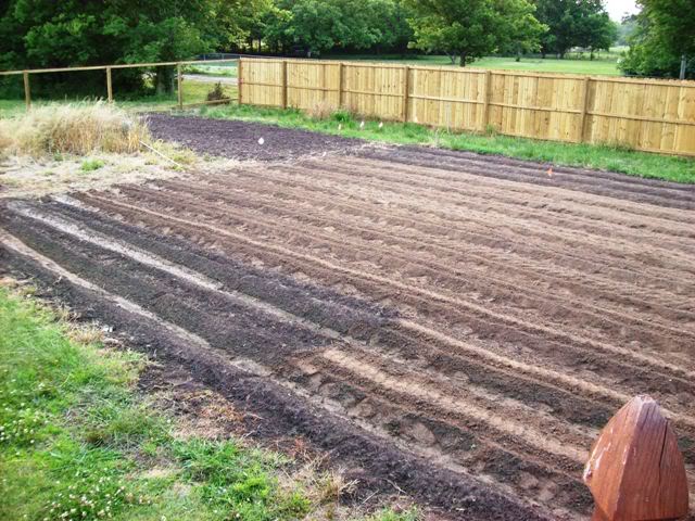 Garden2-1.jpg