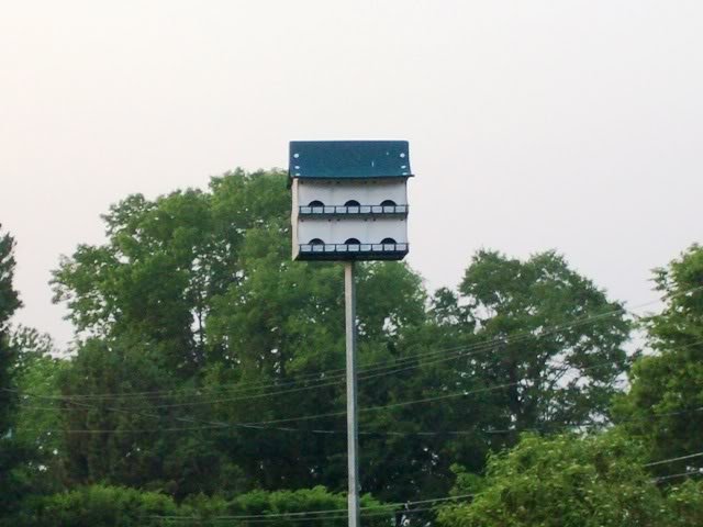 MartinHouse-1.jpg