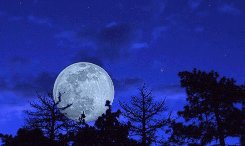 MoonFlip-1.gif