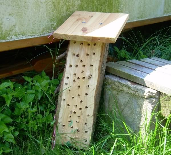 beehouse 1 - How does your garden grow?