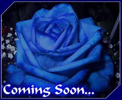 bluerose-1.jpg