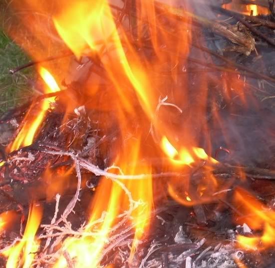 fireclose-1.jpg
