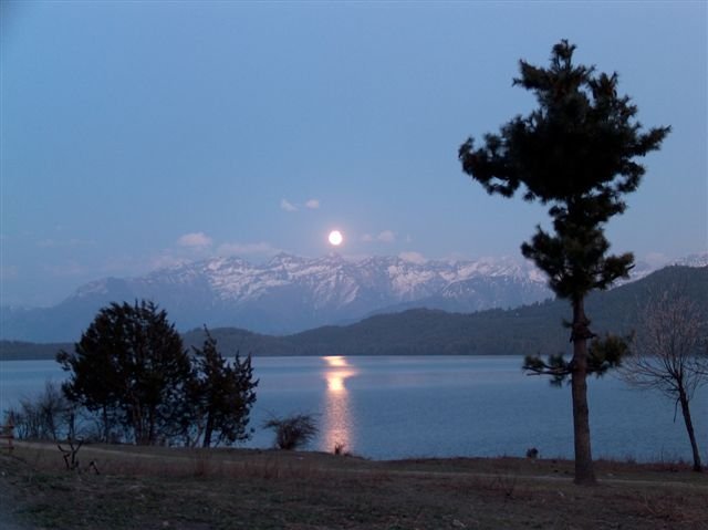 fullmoonrisingJPG-1.jpg