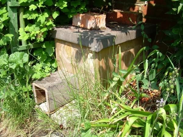 hedgehoghouse 1 - How does your garden grow?