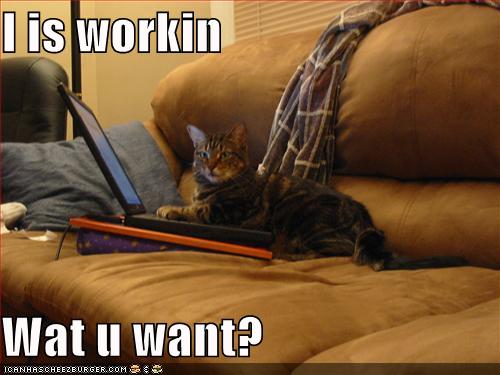 iisworkinwatuwant1-1.jpg