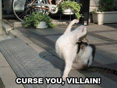 lolcats2final-1.jpg