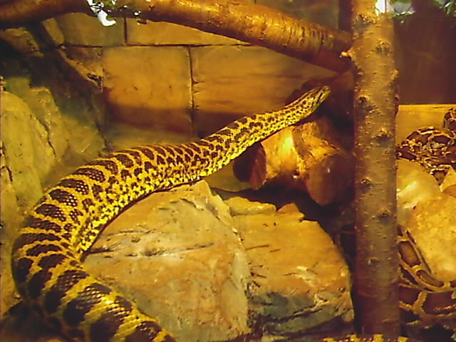 meandfawad154-1.jpg
