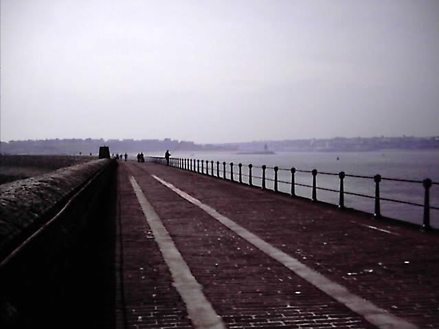 meandfawad2361-2.jpg