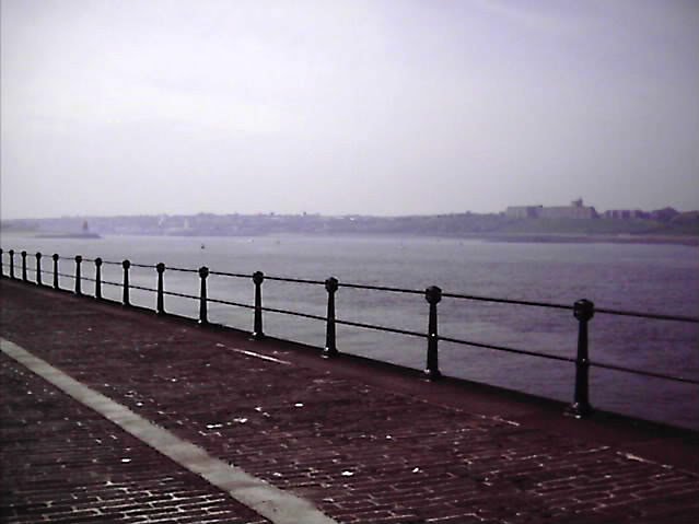 meandfawad2371-2.jpg