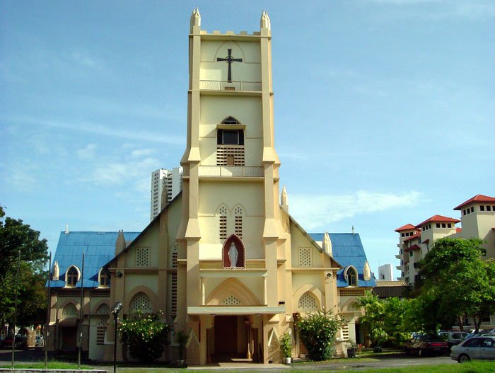 ptikus12-1.jpg