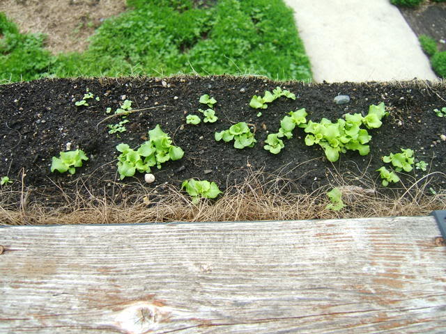 DSCF5475-1.jpg