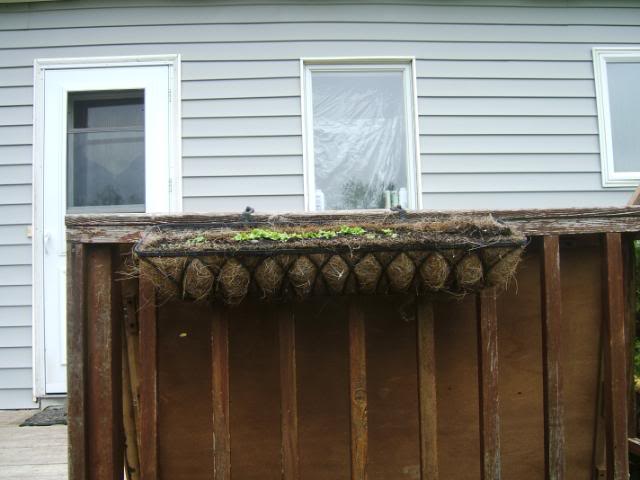 DSCF5476-1.jpg