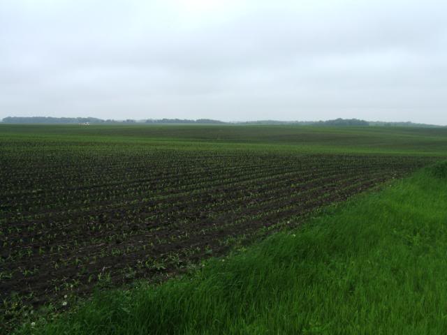 DSCF5478-1.jpg