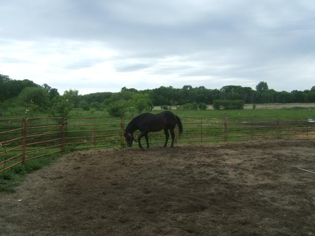DSCF56921-1.jpg