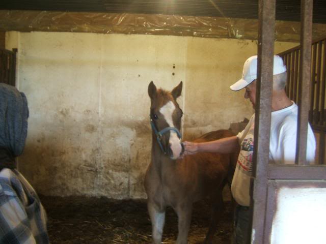 DSCF57071-1.jpg