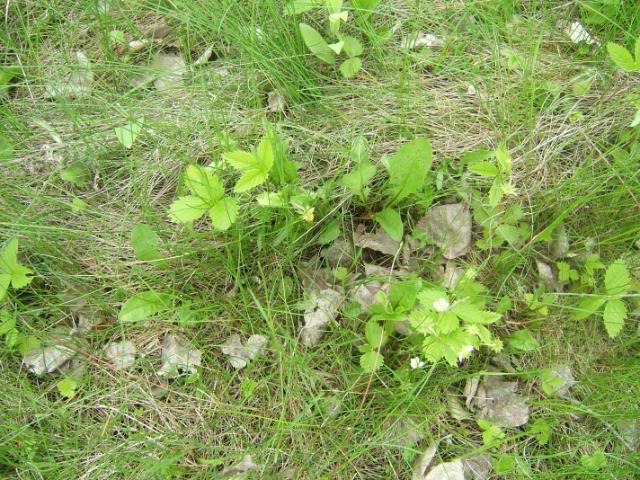 DSCF5728-1.jpg